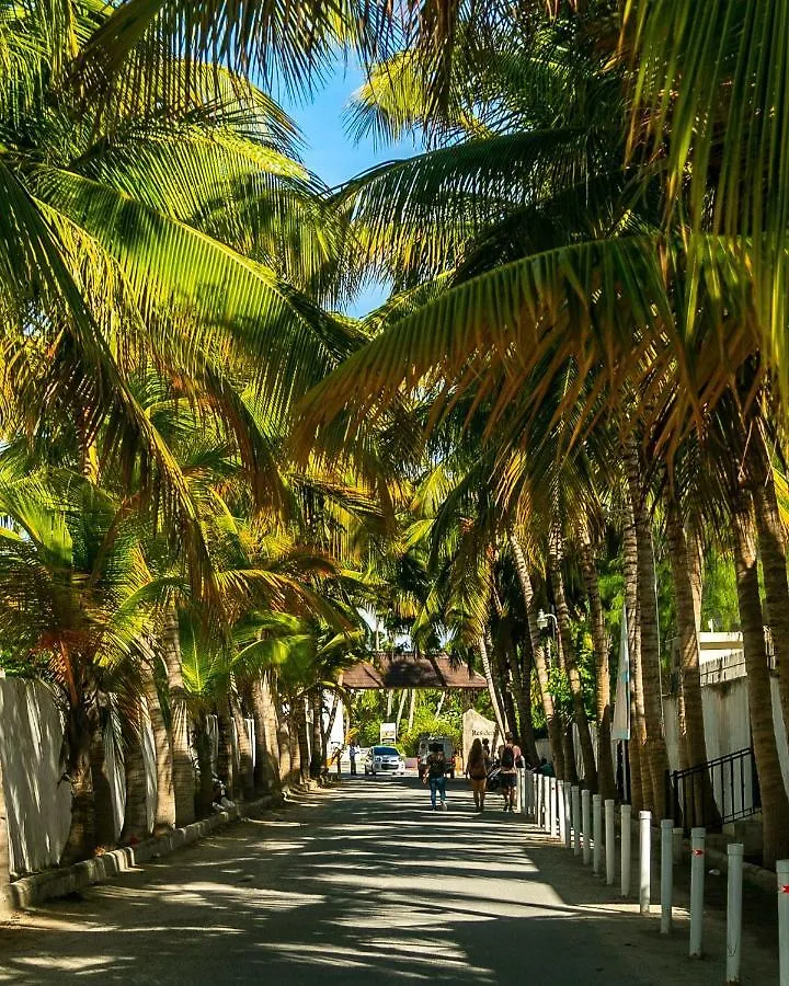 Charming 2Bdr Pool View Walking To Bavaro Beach Punta Cana Dominican Republic